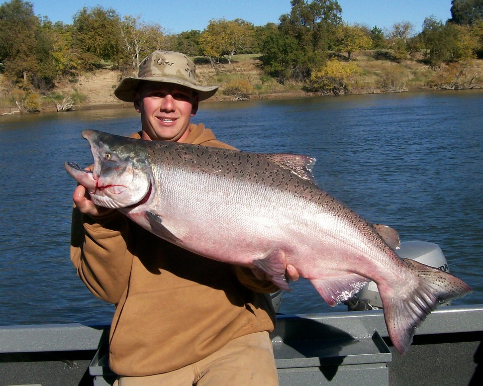 The Hardest Fighting Freshwater Fish