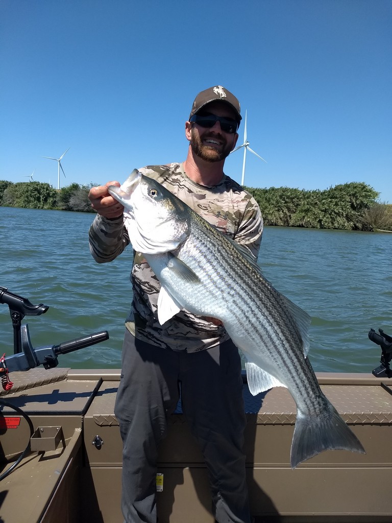 The Spring of Big Stripers