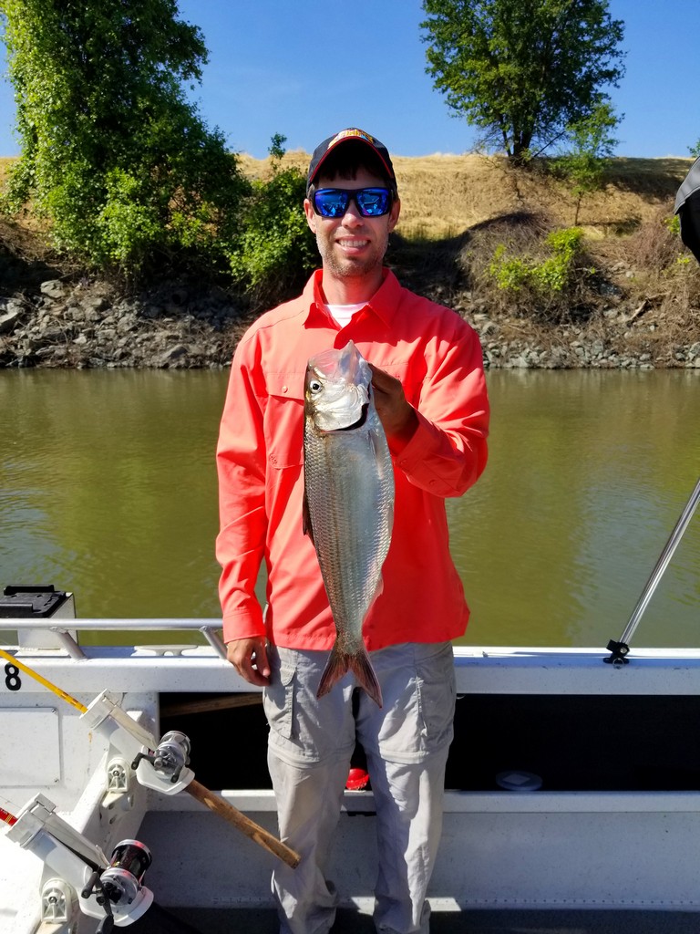 Shad Pandemonium in Downtown Sacramento