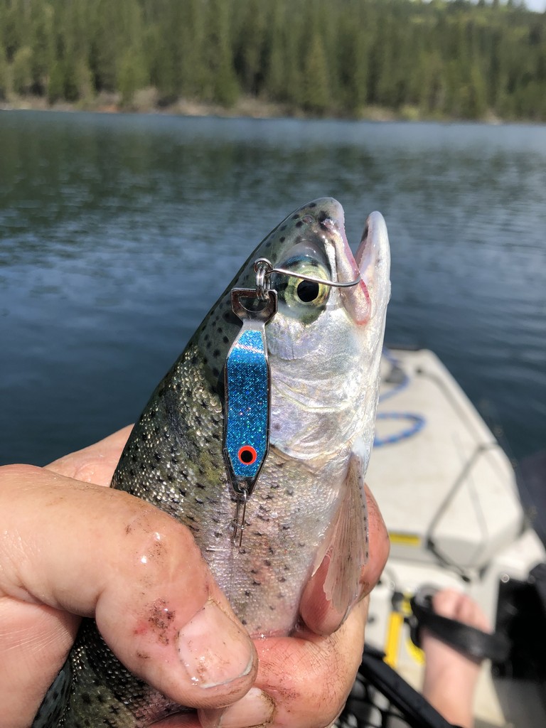 Sugar Pine Reservoir: A Top Sierra Destination For Kayakers!