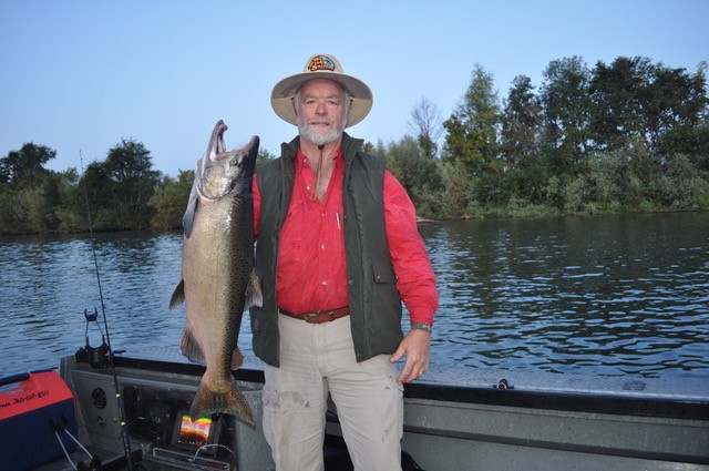 Sacramento River Salmon Starting to Heat Up!