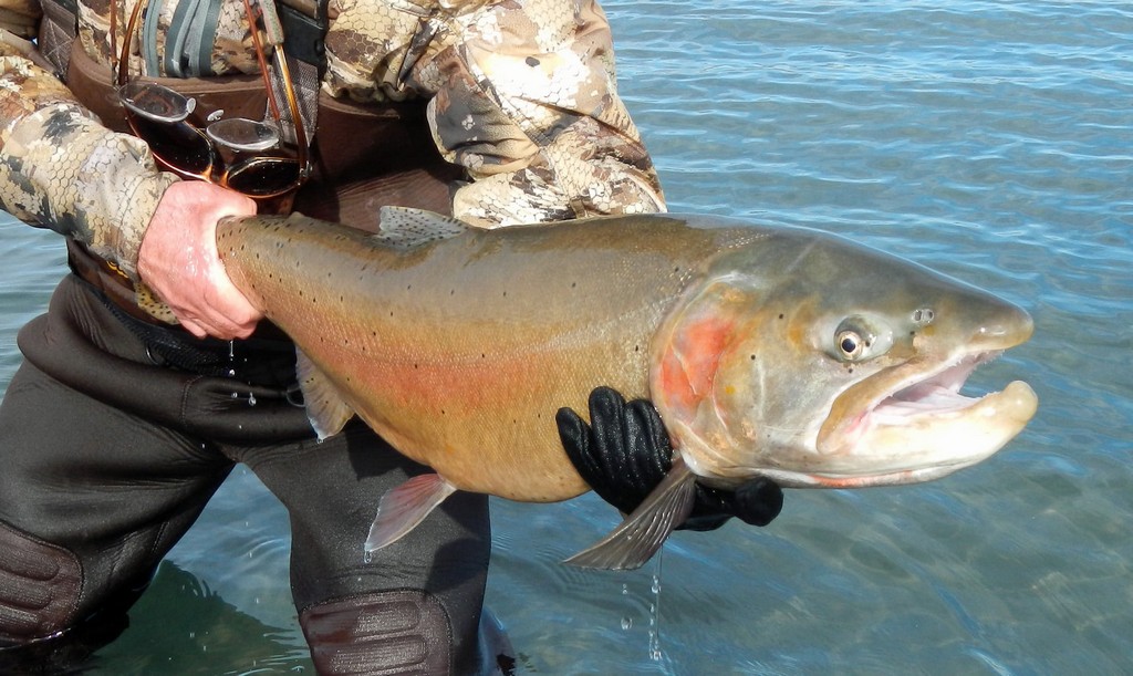 Tahoe: A Lake of Superlatives and State Fish Records