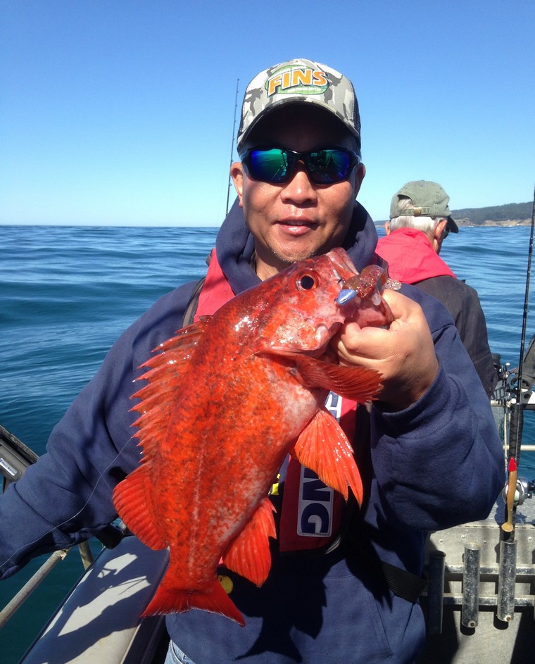 Go Light and Shallow for Sonoma Coast Rockfish