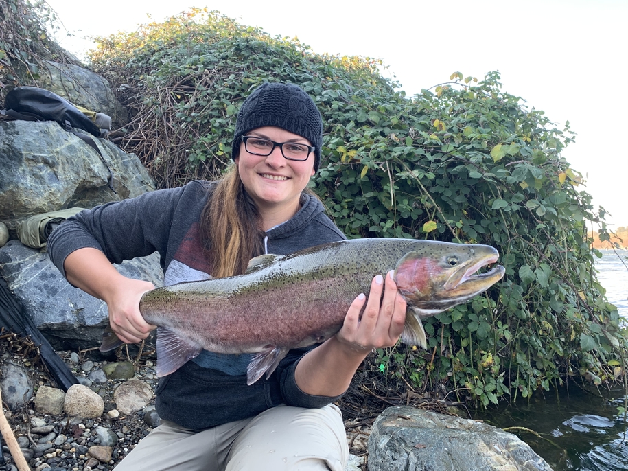 American River Steelhead Season Off to Tough Start for Most