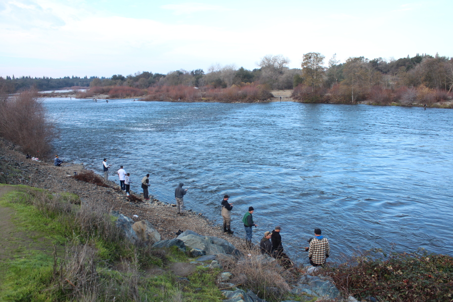 American River/Sacramento Area - Salmon Fishing Is Tough, But Fish Are Big & Bright
