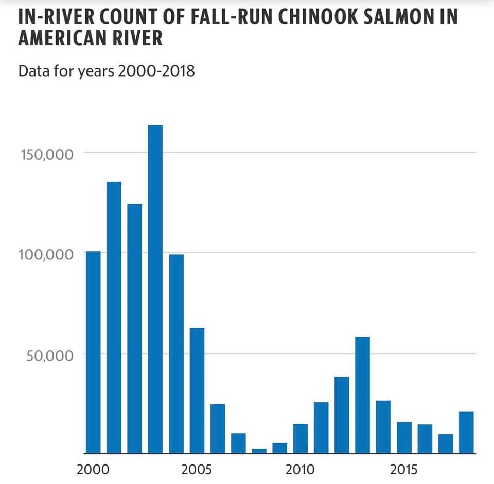 Salmon Advocates Respond to Reclamation Plan to Cut Flows on American River