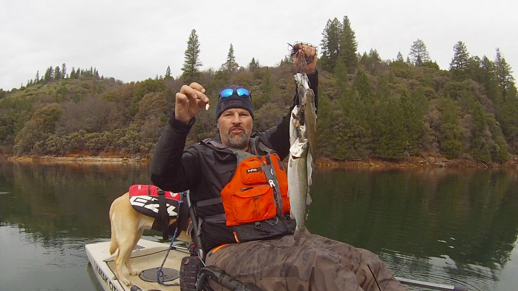 Emerald Water, Chrome Trout…