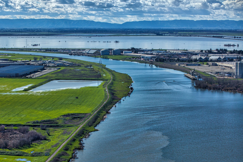 Voluntary Settlements Are Disastrous for Fish and the Ecosystem - and Are Not New