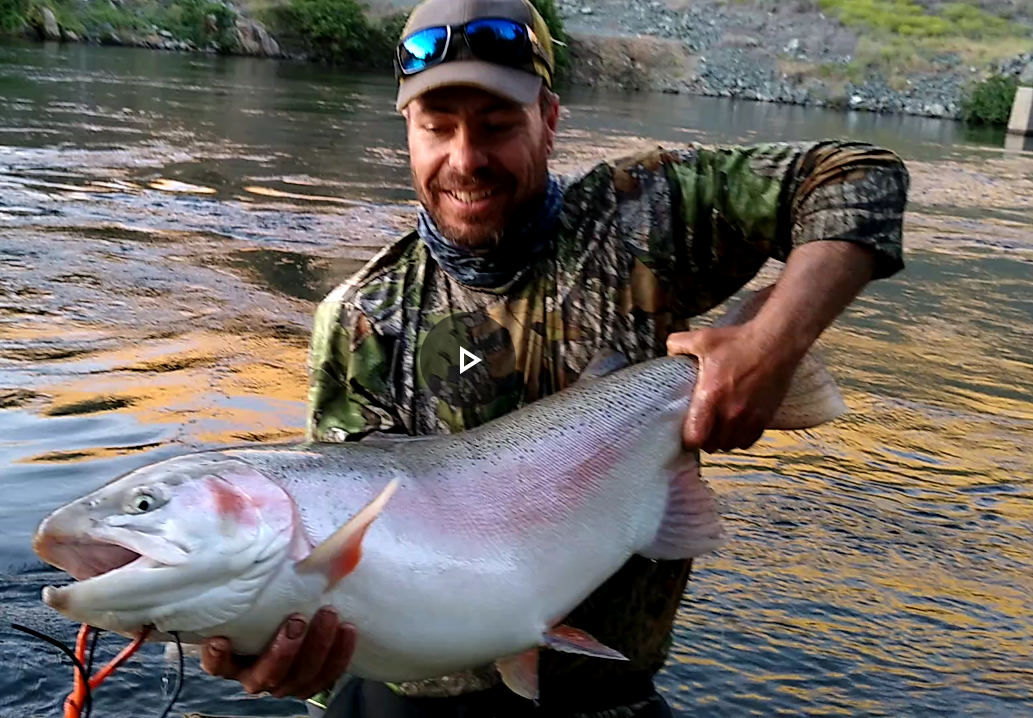 Angler Bags 25.25 Lb. Rainbow in Diversion Pool Below Oroville Dam