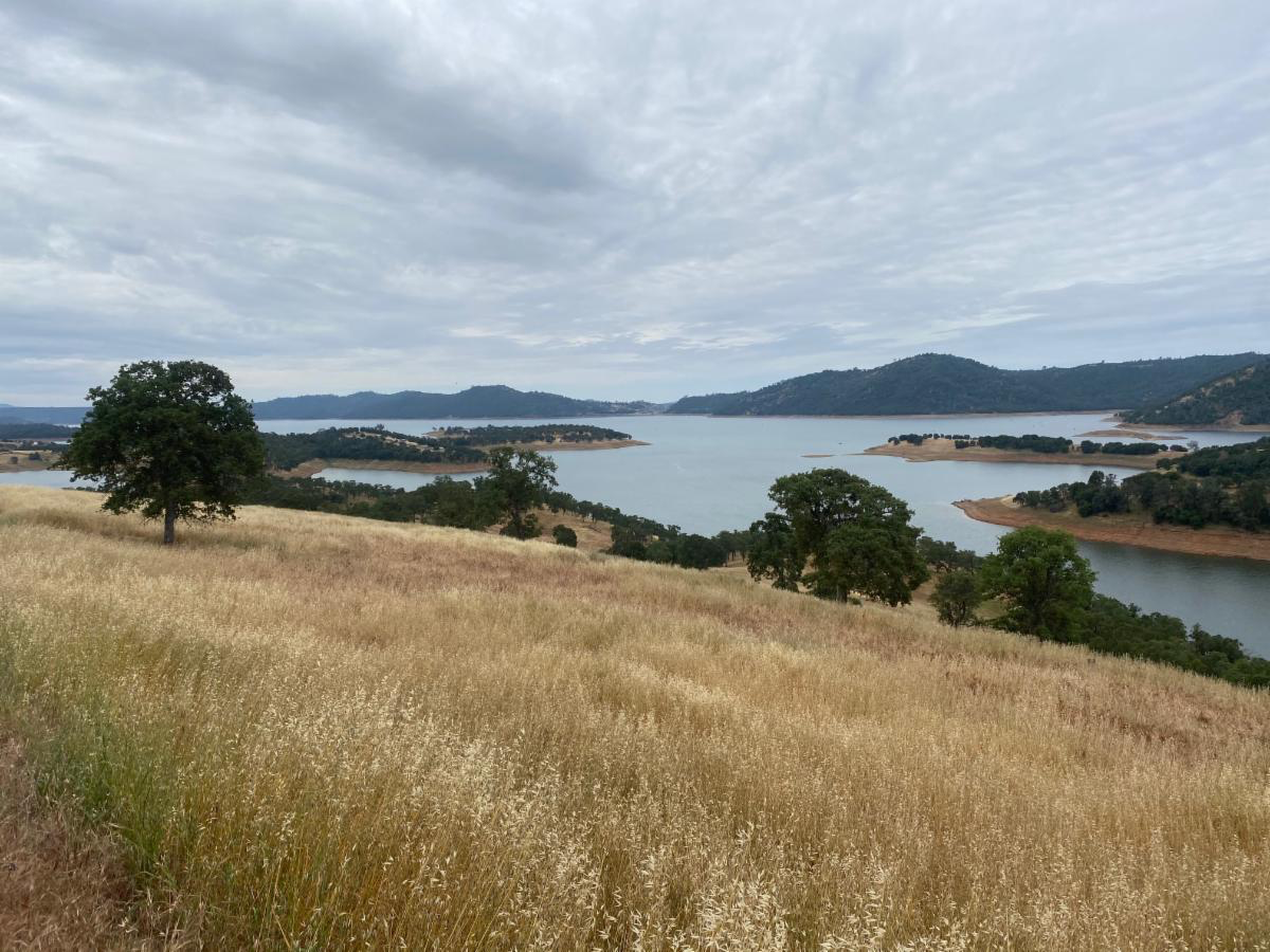New Melones Reopens with Great Kokanee and Bass Fishing.