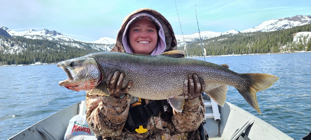Caples Lake Offers Big Mackinaw, Plentiful Browns and Rainbows