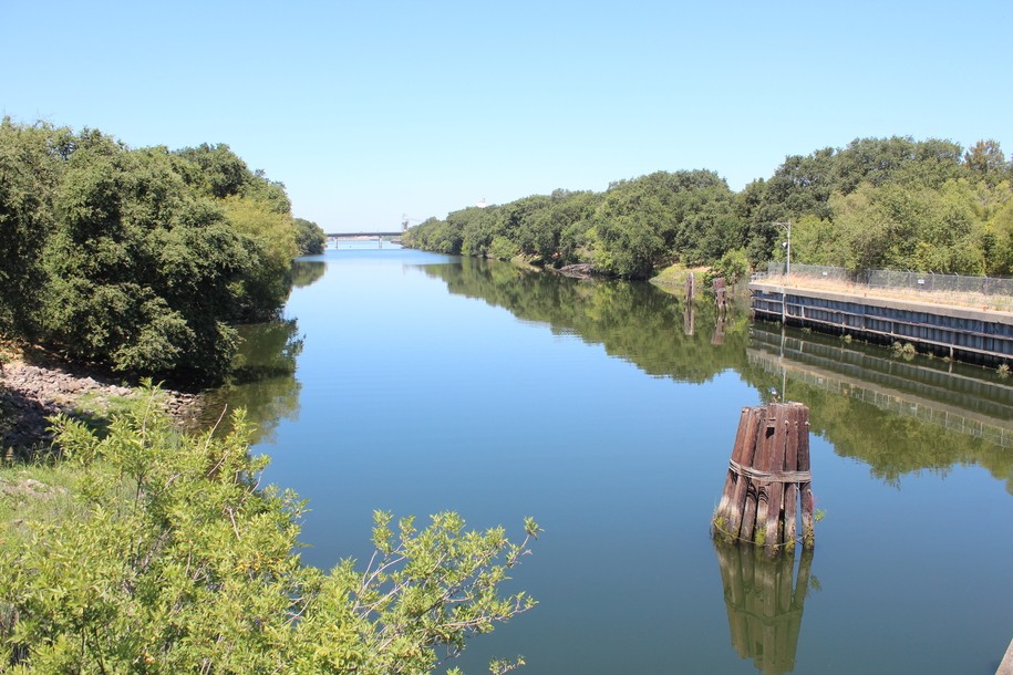 Port of West Sacramento/Ship Channel: Popular Fishing Destination, Delta Smelt Sanctuary