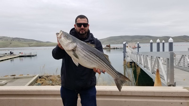Big Catfish and Stripers Highlight Los Vaqueros Reservoir Reopening