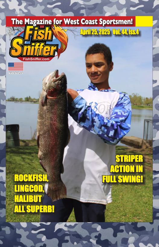 Fish photo