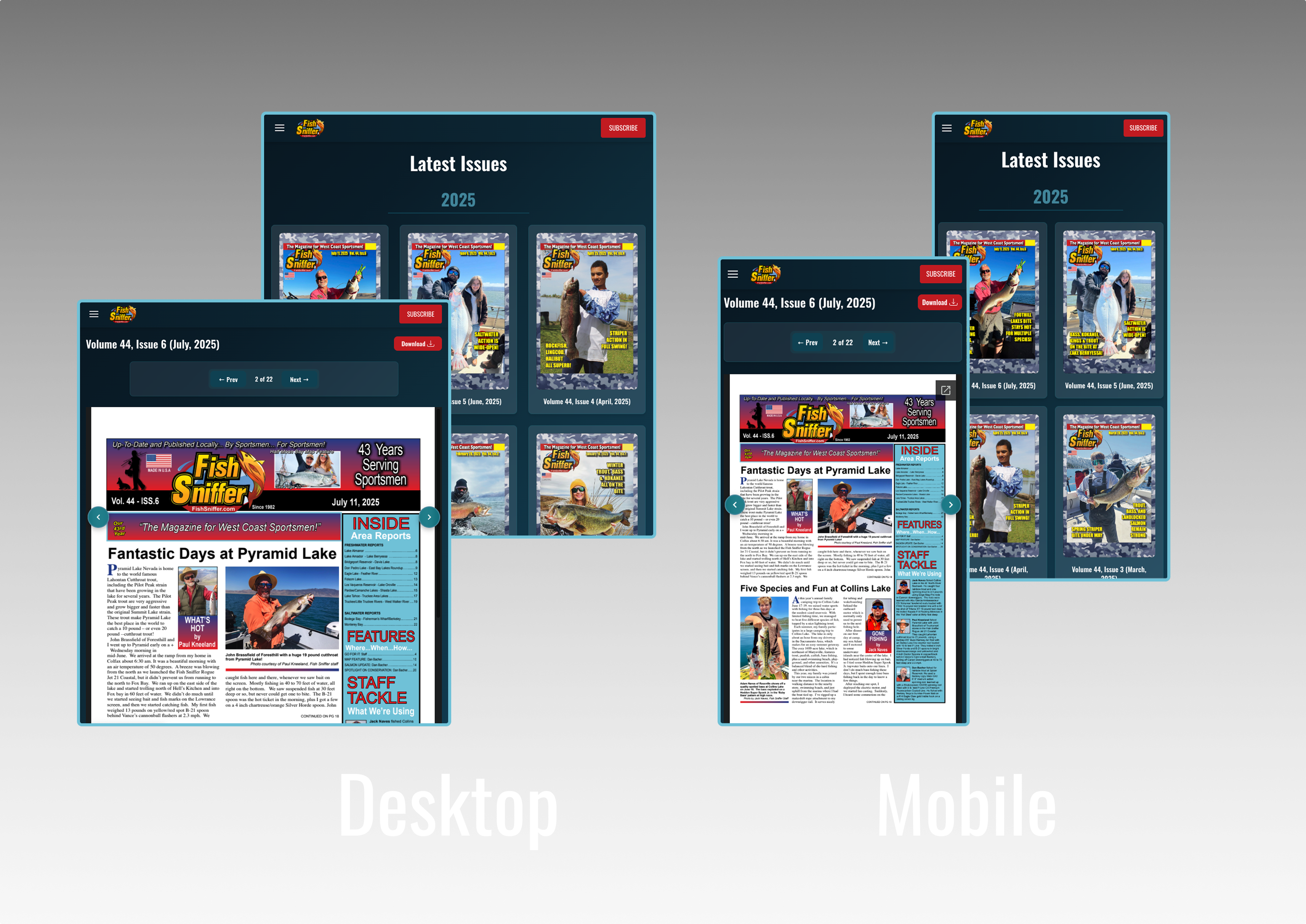 Multi-Device Access