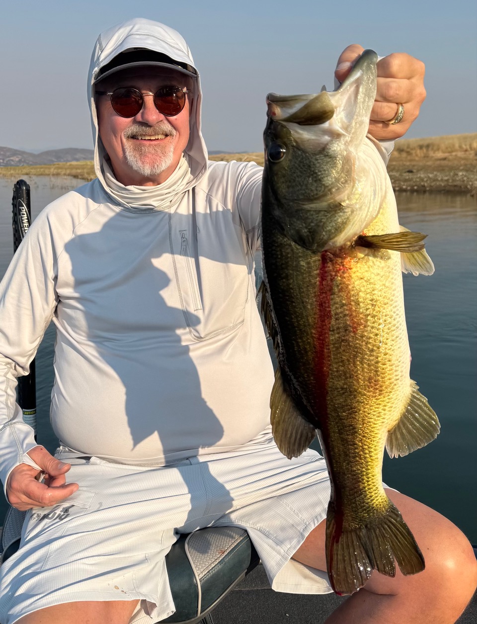 Camanche/Pardee report