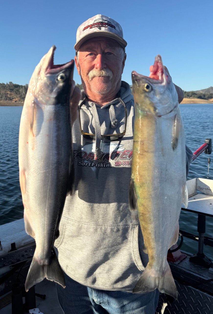 Don Pedro Report