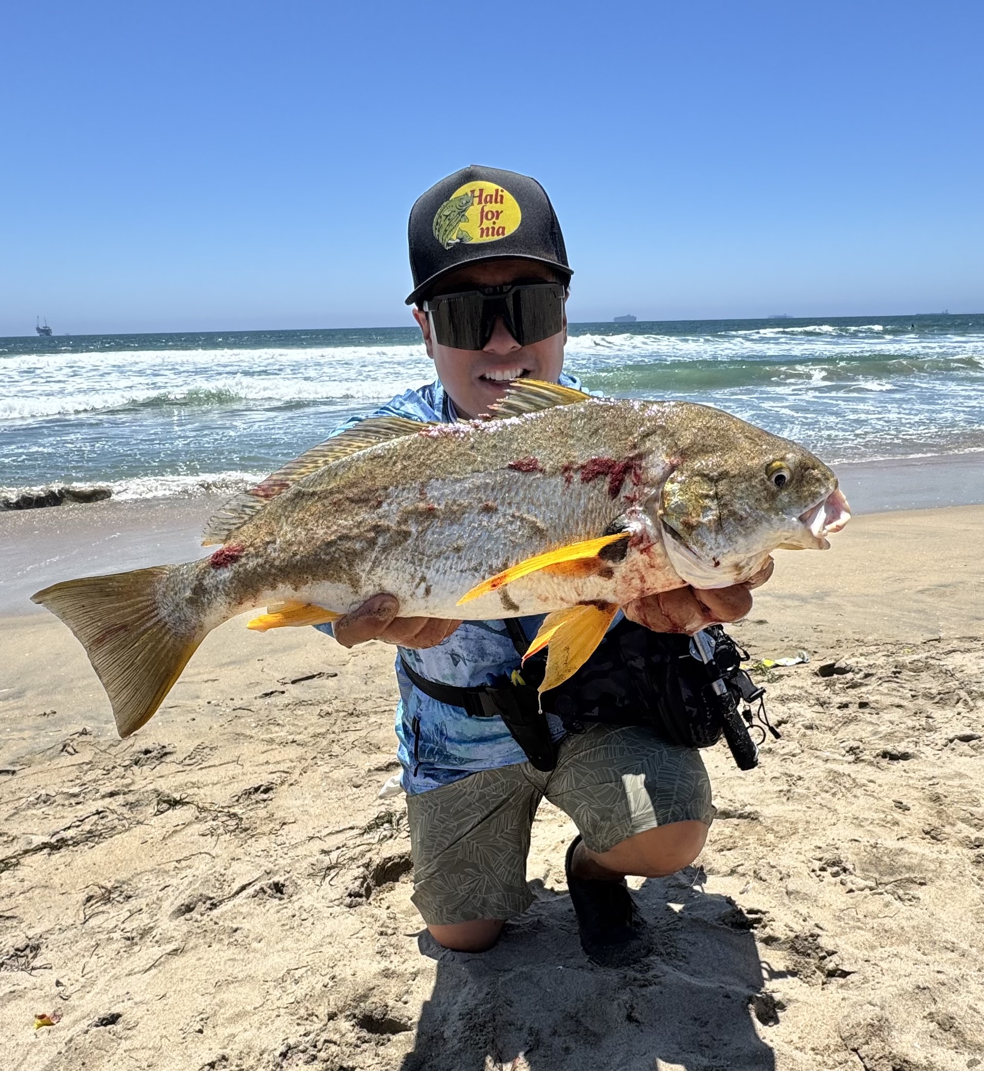 July Surf Derby: A Spotfin Showdown in Seal Beach