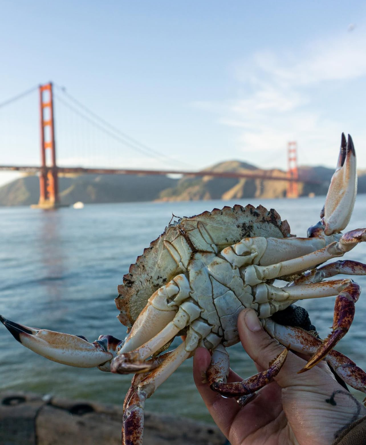 July 2025 NorCal Striper & Crab Report: Slow Bite, Big Rewards