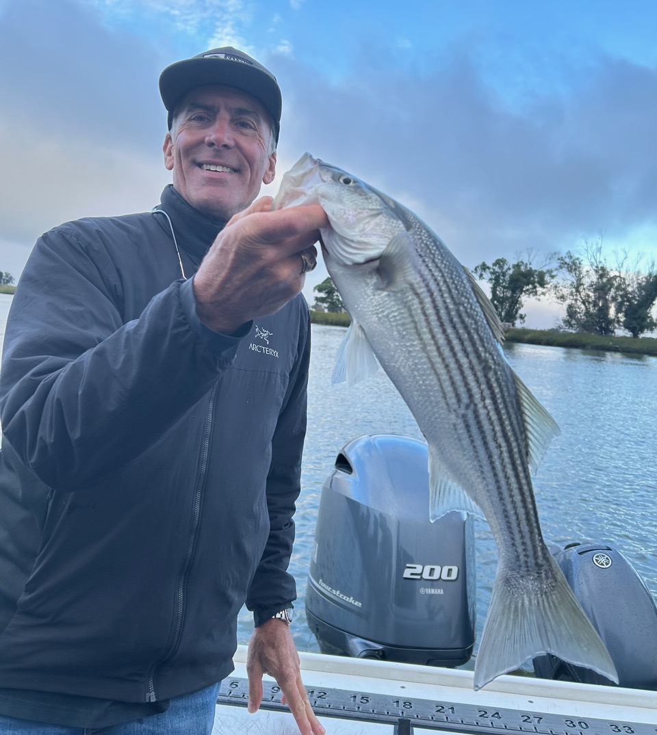 American River Report