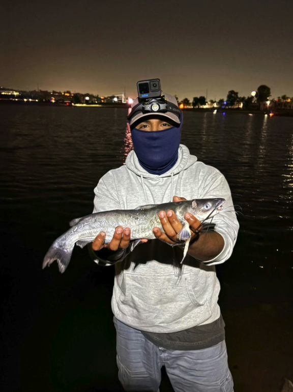 Light Evening Breeze Produces Steady Catfish Action