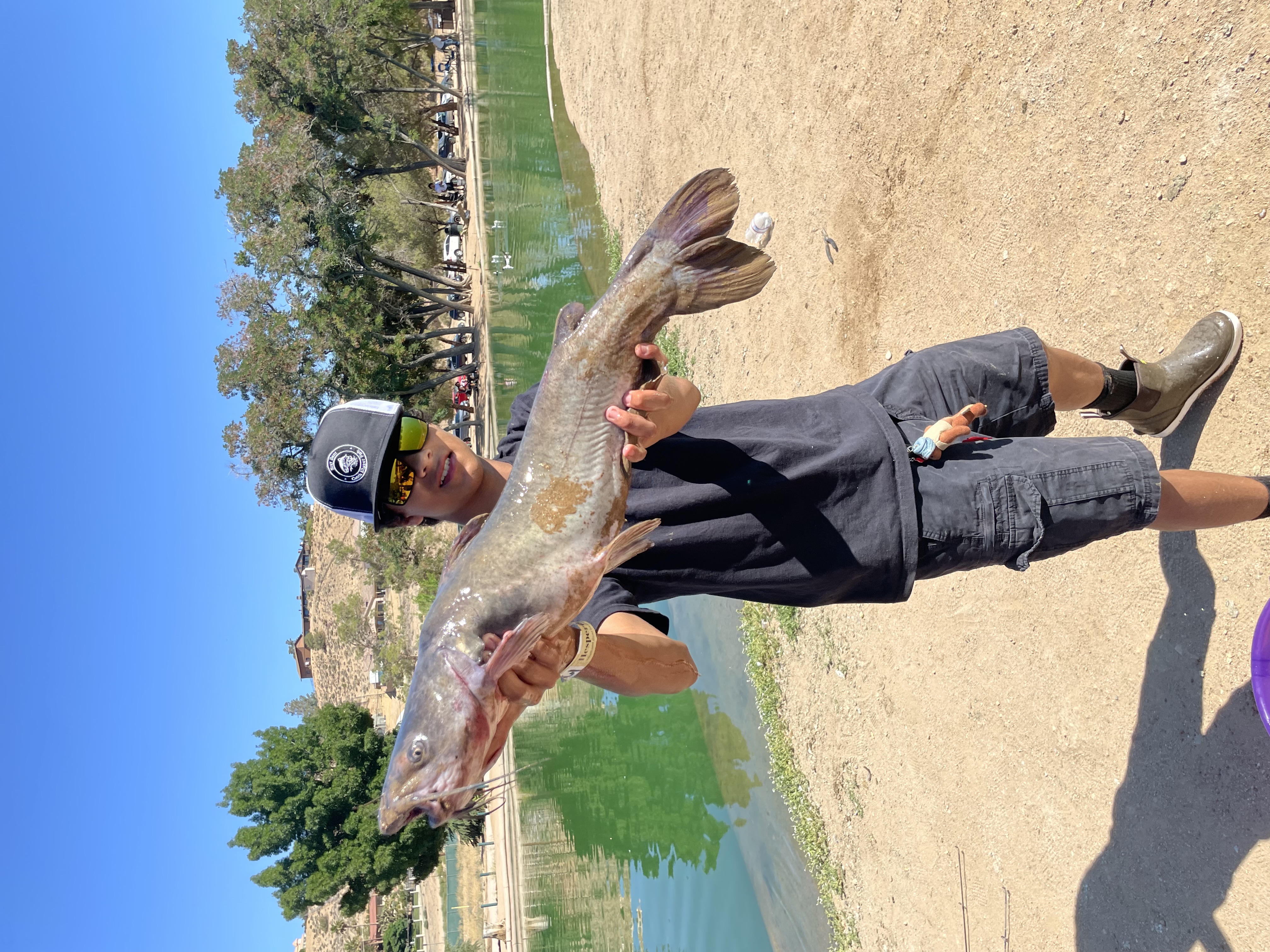 Shrimp & Mackerel Score Easy Cat Limits