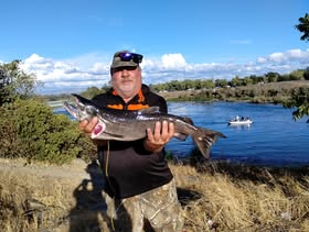 American River report