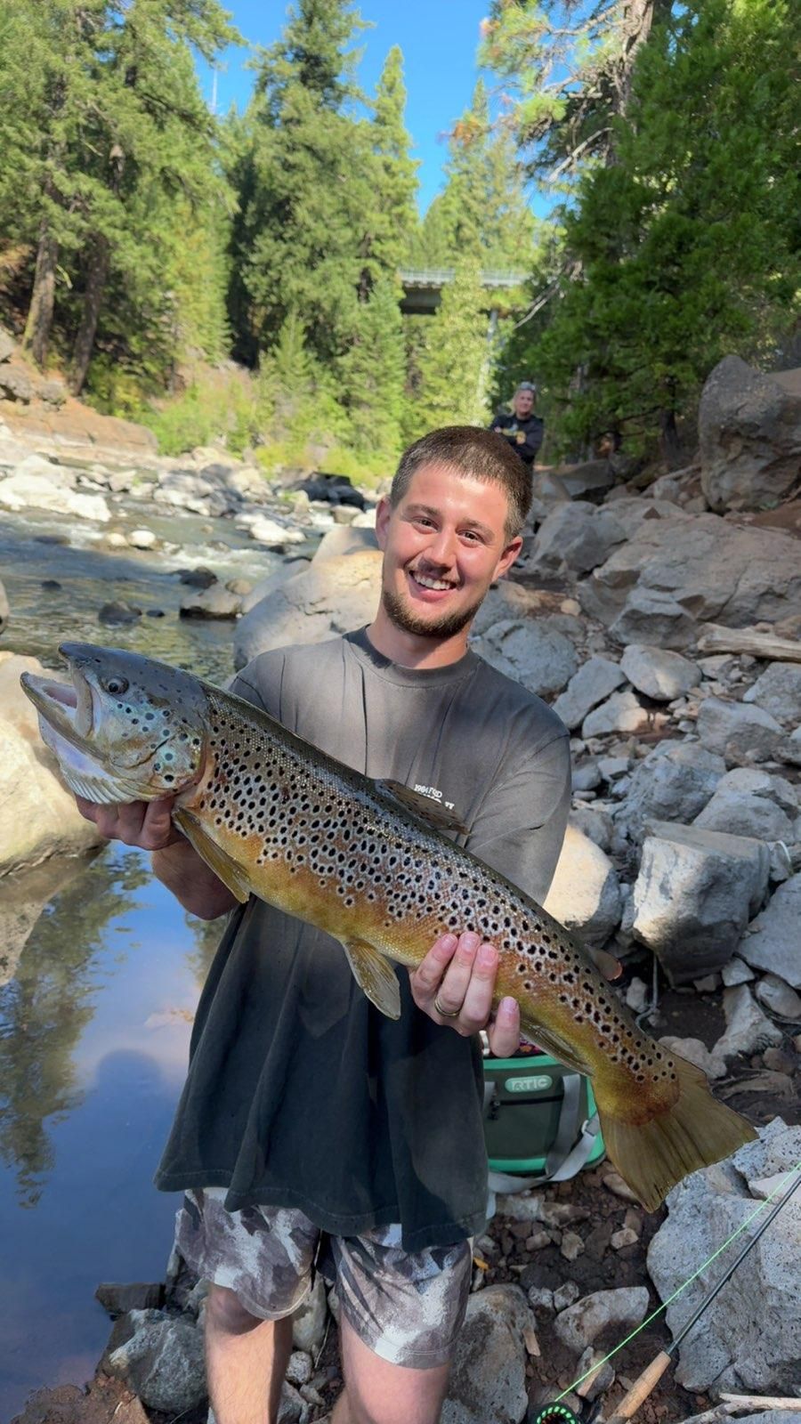 Truckee Area Report