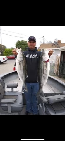 Napa River Report
