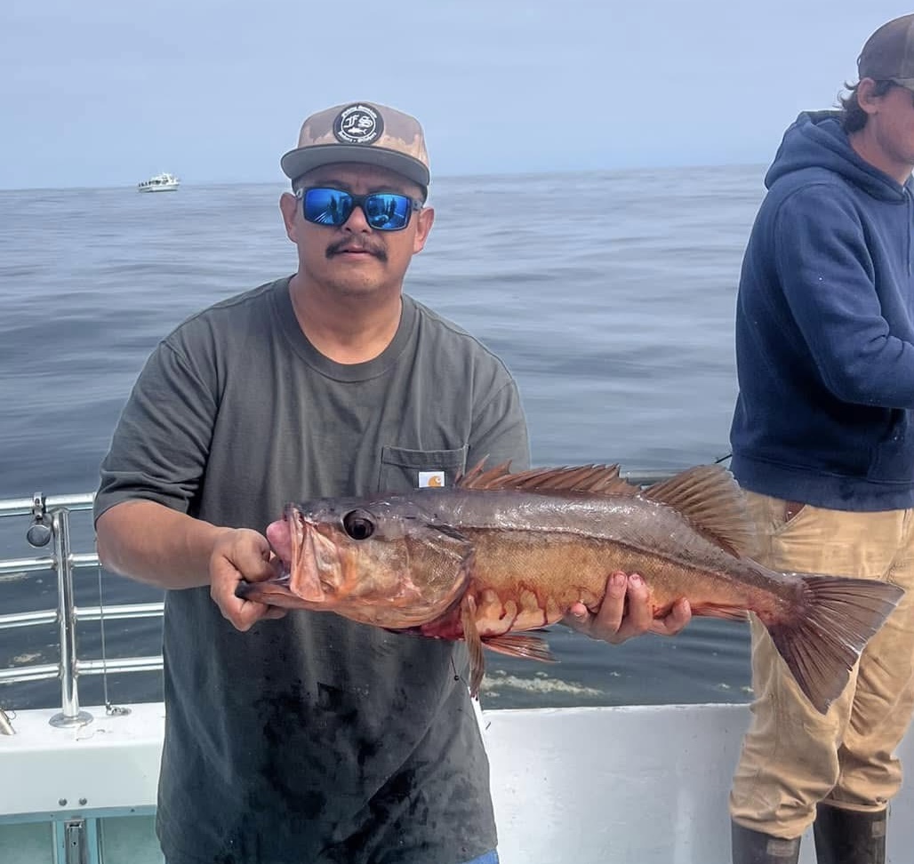 Half Moon Bay: Rockfish Offer Steady Action Off San Mateo County Coast