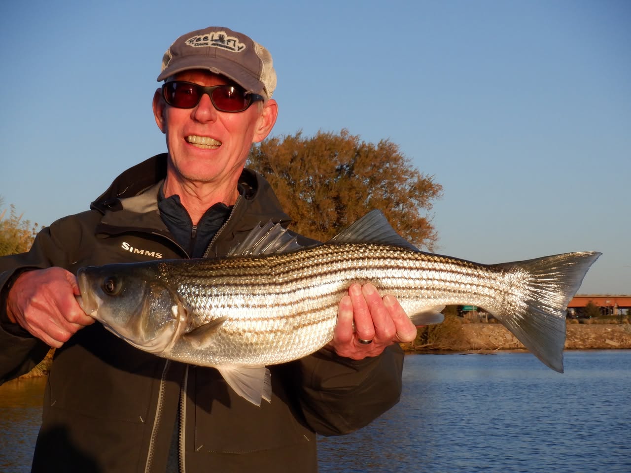 Don Pedro Lake: Trollers Battle Rainbows and Kings