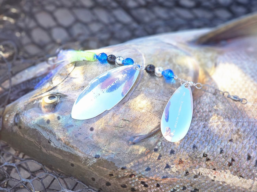 Here Fishy Fishy Silvertron Powers a Stellar Feather River Season