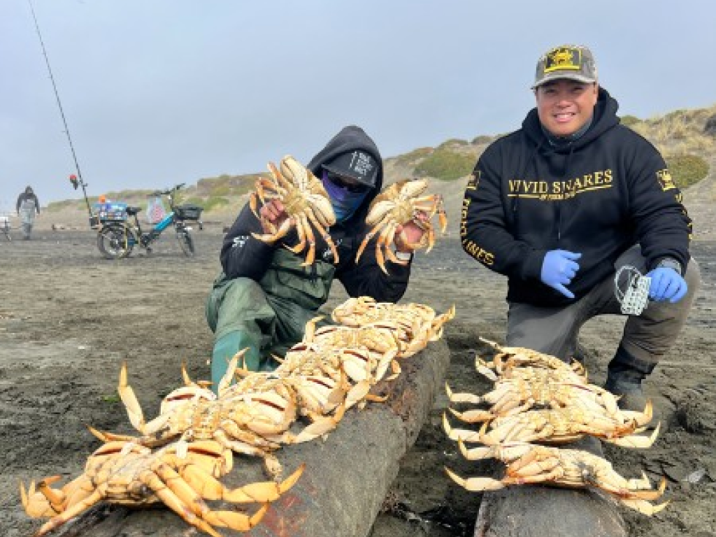Crab Season Opens with the Vivid Snares Derby