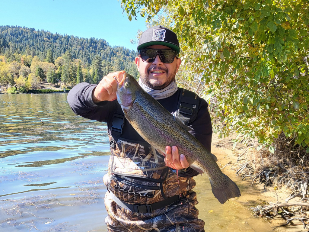 Big Rainbow Trout at Lake Gregory