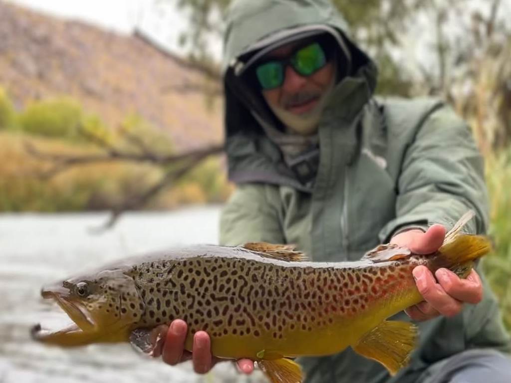 Browns in Eastern Sierras