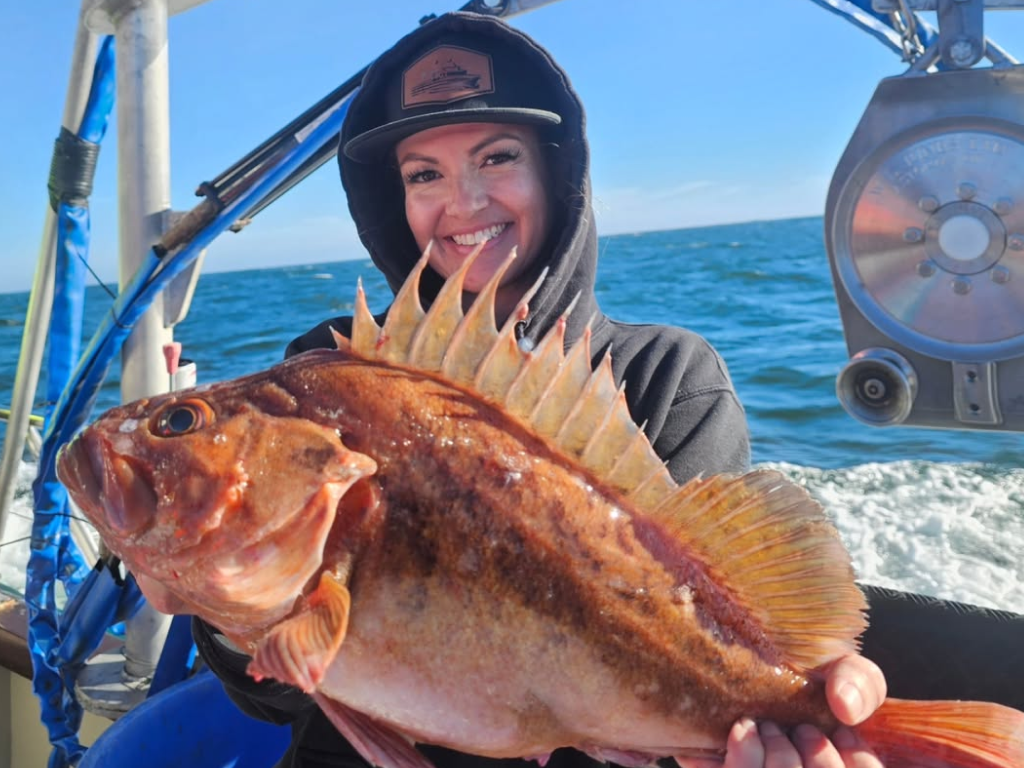 Rockfish Limits off San Francisco Wharf
