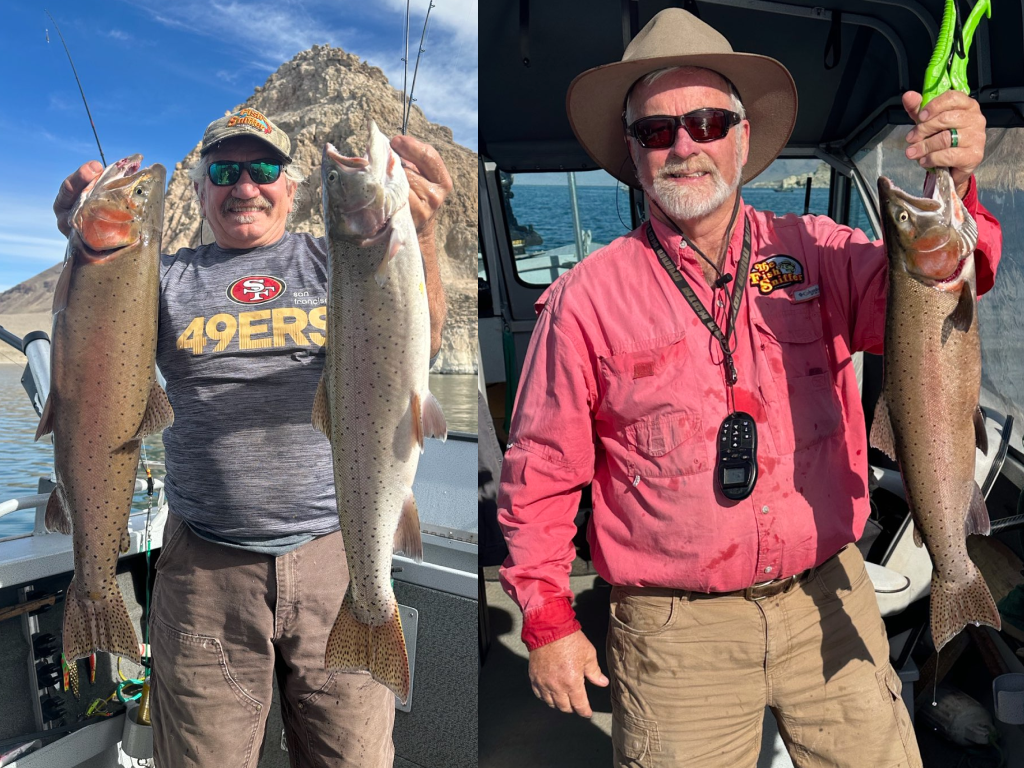 Pyramid Lake Cutthroat Action Holds Steady
