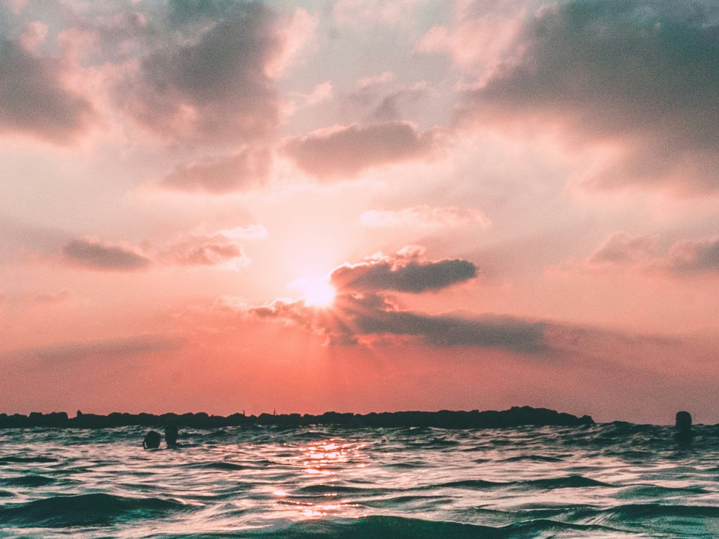 Bay Charter Boats Switch Over to Crab/Rockfish Adventures