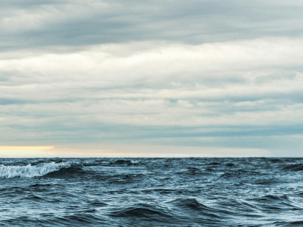 Anglers Bag Limits of Rockfish and Crab on Combo Trips