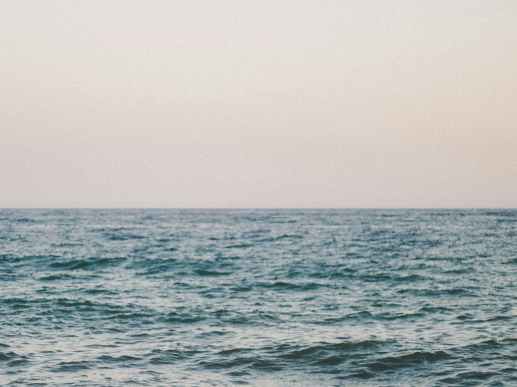 Rockfish Limits Are the Rule