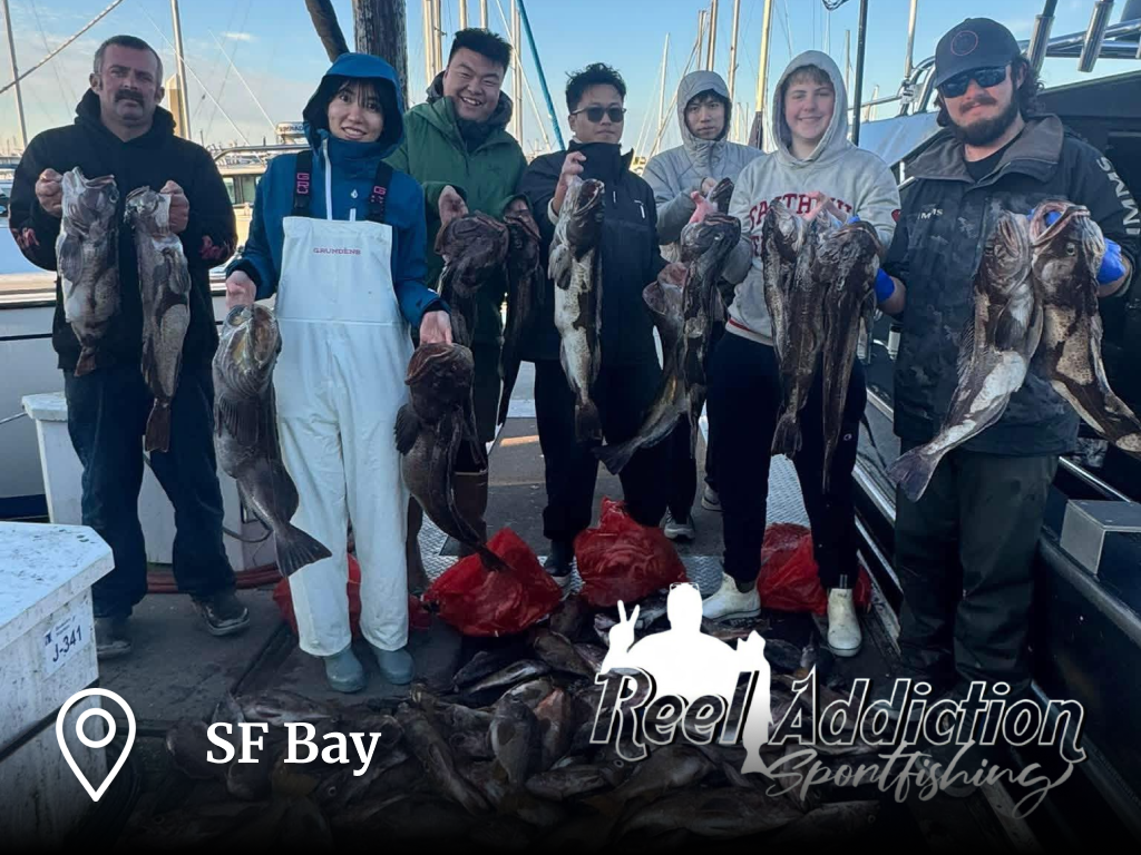SF Bay Crab and Rockfish Action Remains Strong
