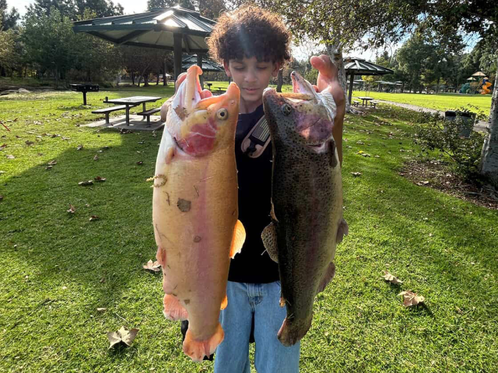 Stock Day Madness at Yorba Regional Park