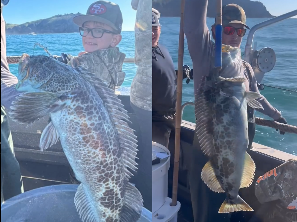 Reel Addiction Sportfishing Wraps 2025 Season Out of San Francisco Bay
