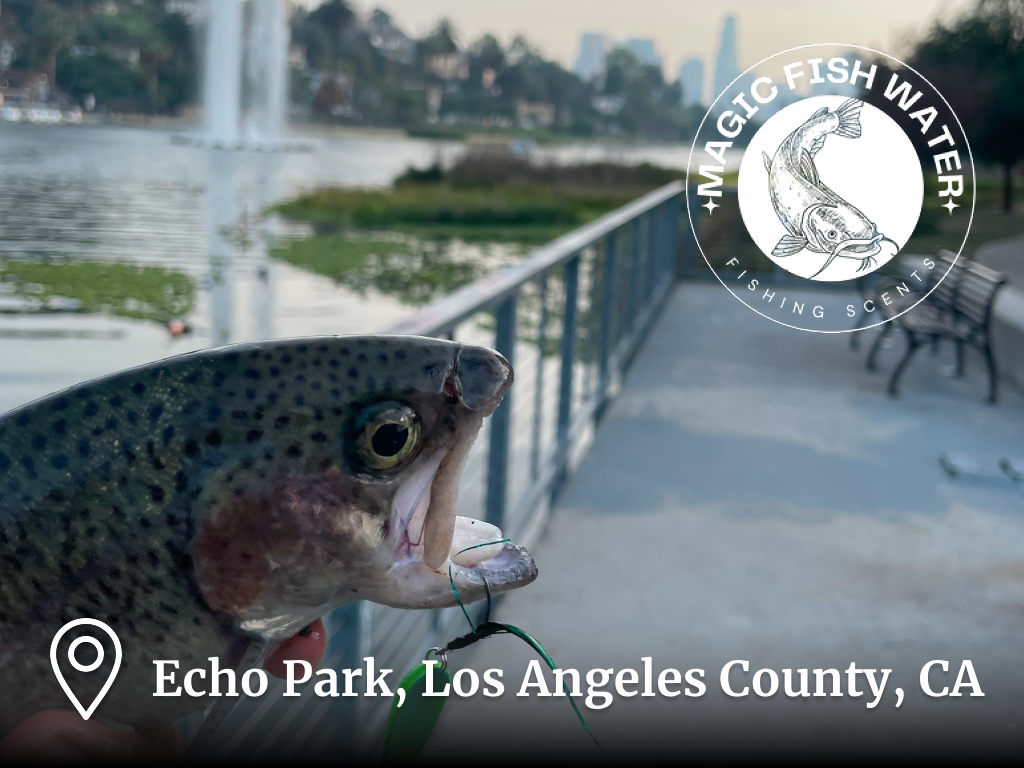 Echo Park Trout Bite Heats Up with Twisters and Spoons