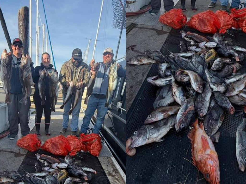 Triple Limits of Rockfish and Lingcod on Farallon Islands Crab Combo Trips