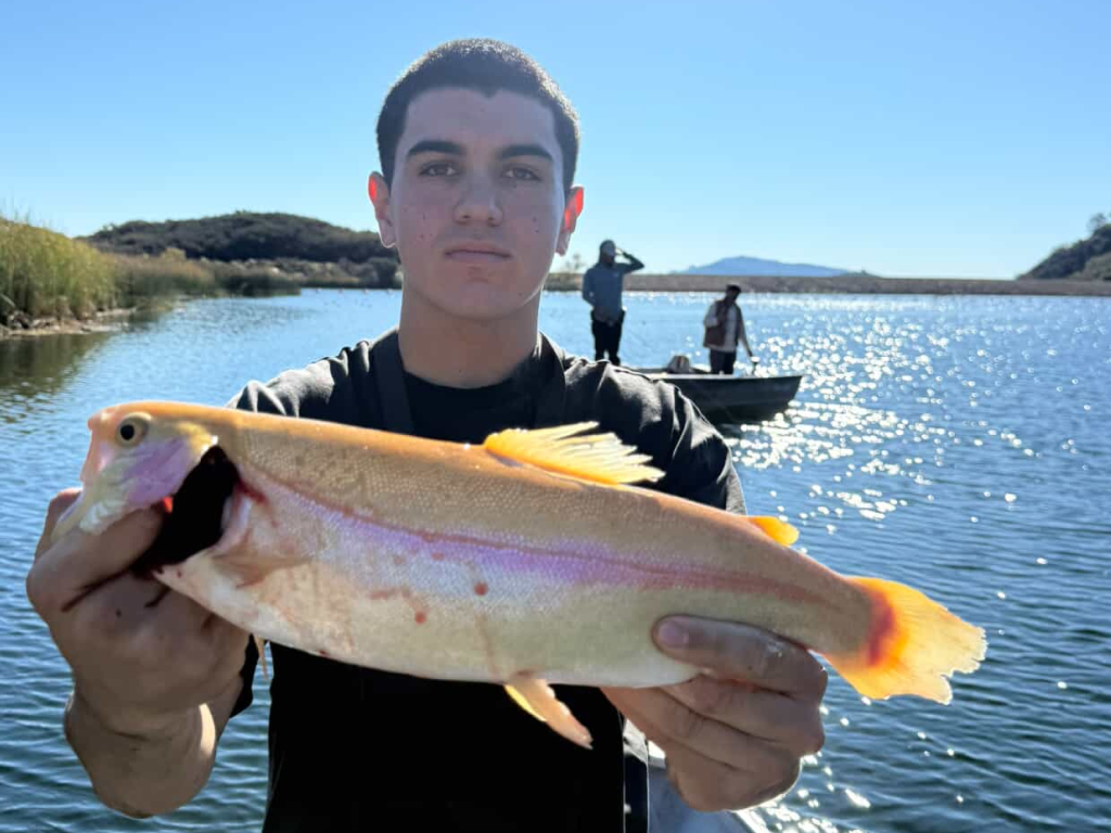 Dixon Lake Lightning Trout Bite Turns On Along Weed Lines