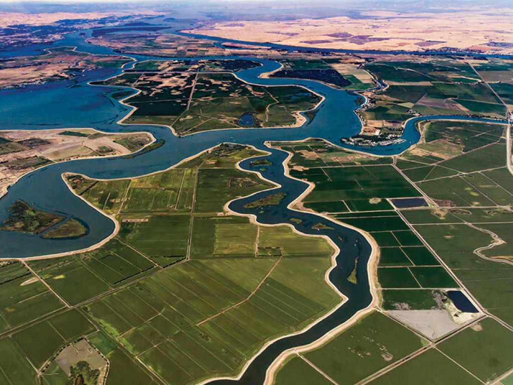 Spotlight on Conservation