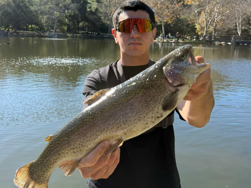 Solid Trout Bite at Irvine Lake After Recent Stocking