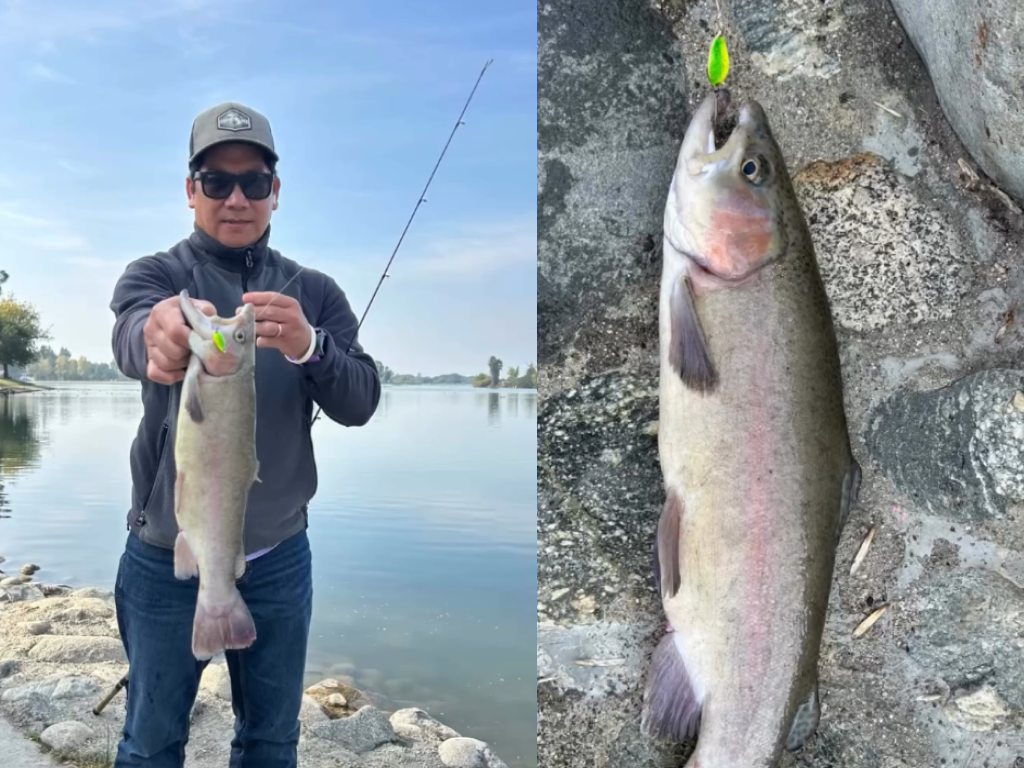 Dancin Fish Baits Powers Up SoCal Trout Action This Season