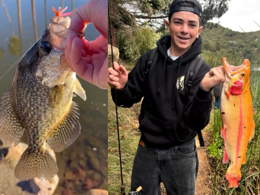 MADE Baits Hook Trout, Crappie, and Bass This Season